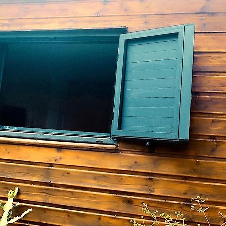 Tiny House Les Cactus - Bungalow St Gilles Les Hauts Saint-Paul Exterior foto